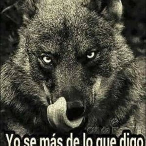 Meet your Posher, Tatan